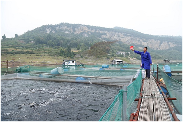 1511505717369815.jpg 5.jpg