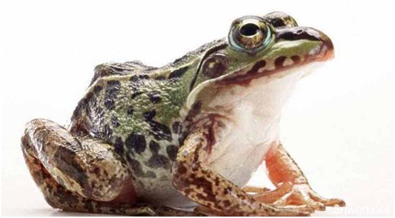 1513841338923867.jpg 2.jpg