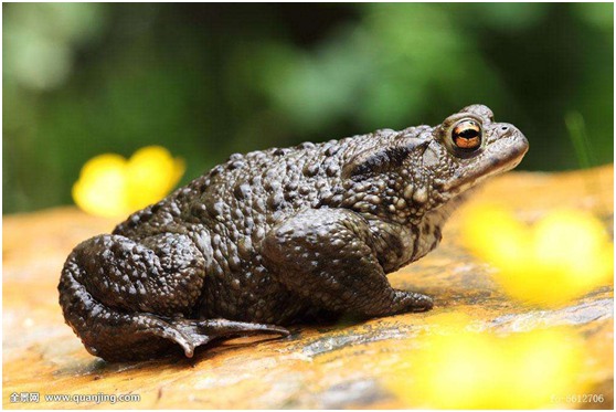 1513841437237875.jpg 4.jpg