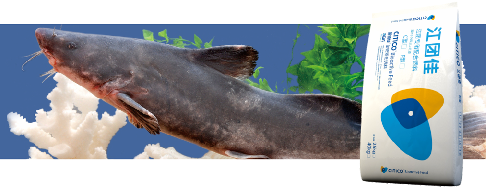 1514364700338059.png 13.png