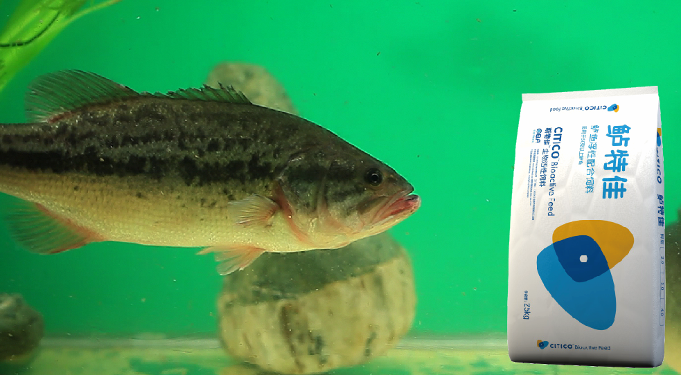 1514365487517873.png 18.png