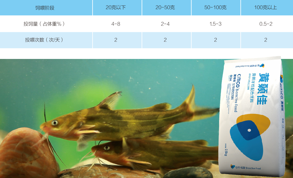 1514365647746169.png 21.png