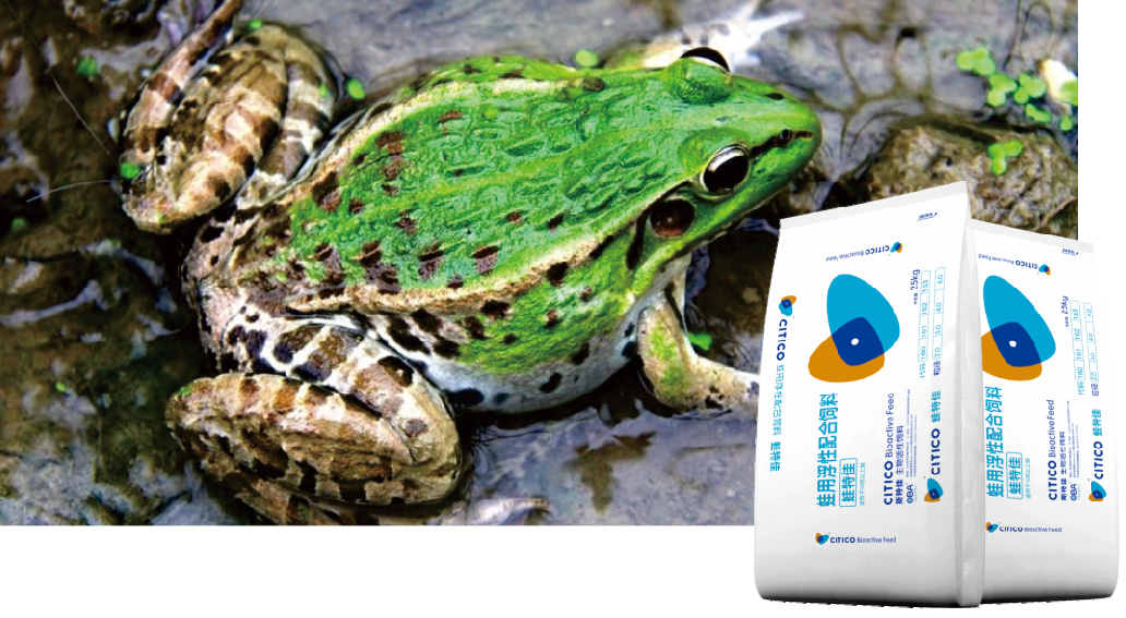 1514366239638911.png 24.png